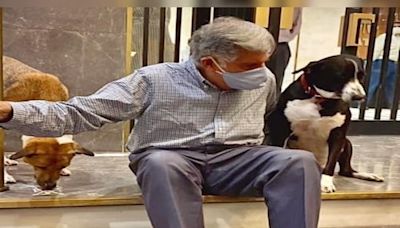 Watch | Ratan Tata's beloved furry friend 'Goa' bids goodbye to him - CNBC TV18