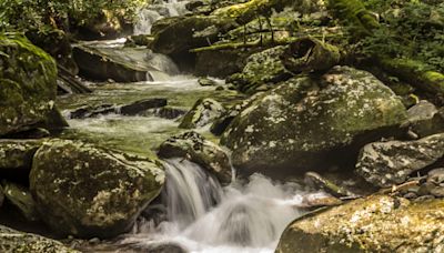 Great Smoky Mountains NP closes some roads, popular waterfall trail after strong storms