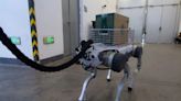 Department of Homeland Security to use robot dogs in raids