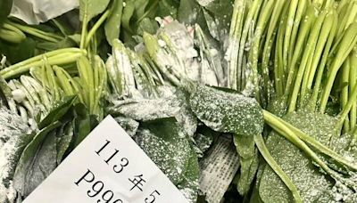 北農５月份蔬果抽檢137批不合格！「這三種」蔬菜居多