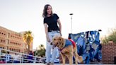 University of Arizona Students Upcycle Denim Ruff Cuts for Furry Friends