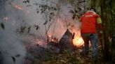 Forest fires spread in Mexico, at least four dead