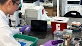 Viaje al interior de tres laboratorios donde se desarrollan los medicamentos del futuro contra el cáncer y el Parkinson