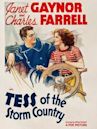 Tess of the Storm Country (1932 film)