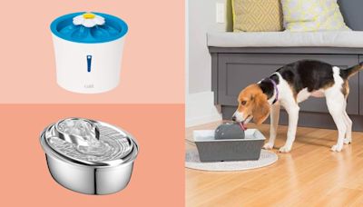 Pet water fountains are actually really good for your dogs and cats