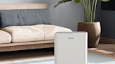 Mold War: People Are Turning to These Air Purifiers to Help Rid Their House of Mold