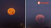 Stomper takes 477 photos, spends 29 hours to create 21-second video of Worm Moon setting