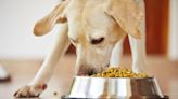 Popular Dog Food Brand Recalled Over Concerns Of Metal Pieces