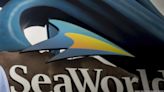 New president to lead SeaWorld San Antonio - San Antonio Business Journal