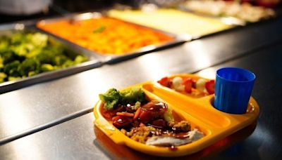 Free school meals call for all primary children