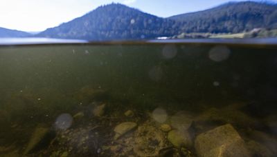 French Lake Still Riddled With Bombs 80 Years After World War II