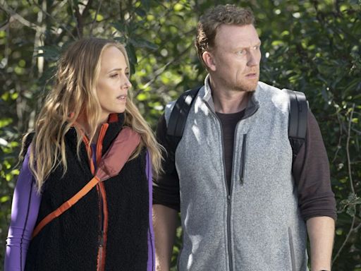 Grey’s Anatomy: How Owen’s Big Idea Could Cause Huge Problems For Teddy (And Meredith) As Season 20 Finale Looms
