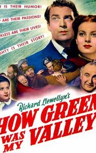 How Green Was My Valley (film)