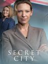 Secret City (TV series)