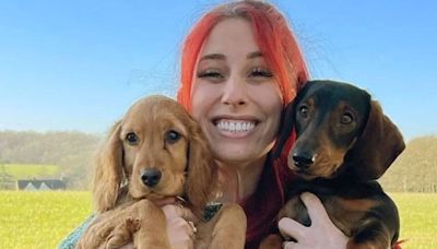 Stacey Solomon breaks down in tears as she shares update on her beloved pet dogs