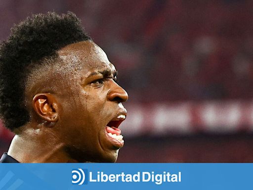 Vinícius, un tigre nunca discute con un burro