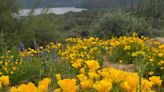 Spring came early. That's bad for Arizona's water supply