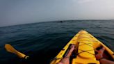 Kayaker films breathtaking close encounter with humpback whale and her calf