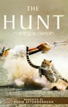 The Hunt (2015 TV series)