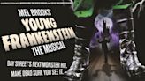 Mel Brooks' Young Frankenstein in Long Island at Bay Street Theater 2024