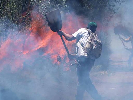 No ceden incendios forestales, Conafor reporta 147 siniestros en 24 estados