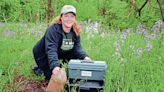 Wet spring greets seasonal hunt for disease-bearing mosquitoes, ticks