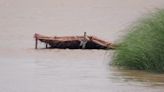 10 Killed In Rain-Related Incidents In Uttar Pradesh In 24 Hours