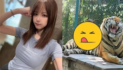 桃乃木香奈遊泰「手揉老虎肚肚」惹怒巨獸！嚇傻模樣網搖頭：服了