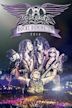Aerosmith Rocks Donington 2014