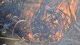 How prescribed burns help wildlife management areas in North Dakota