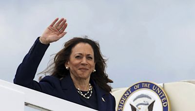 US polling Nostradamus reveals who he thinks Harris should pick as VP