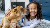 How to help children cope with the death of a pet