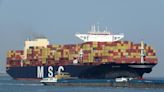 Iranian troops seize MSC box ship while Somali pirates net $5m ransom for bulker - The Loadstar