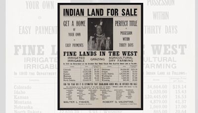 Fact Check: Posts Purportedly Shows 'Indian Land for Sale' Poster. Here's What We Found