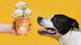 Sorry Humans, Van Leeuwen's New Ice Cream Is Exclusively For Dogs