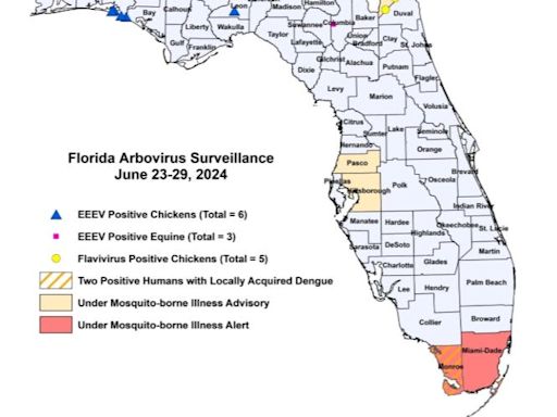 New dengue cases have several Florida counties under mosquito advisory or alert. Here's where