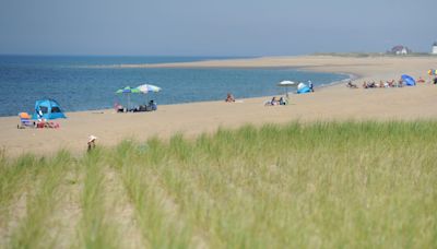 'It's our job to protect it.' Seashore shorebird protection may be connected spray paint