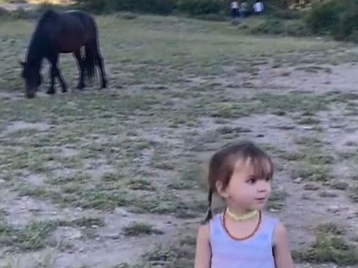 3-Year-Old Girl Kicked in Head by Wild Horse in Nevada Park, Mom 'Thought She Had Died'