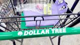 11 artículos de limpieza en Dollar Tree recomendados por los compradores - La Opinión