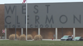 West Clermont accused of taping disabled student to chair enters 'no contest' plea