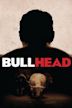 Bullhead (film)