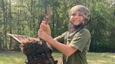 How an exploding beaver dam led to the bagging of a bearded wild turkey hen | Hunting