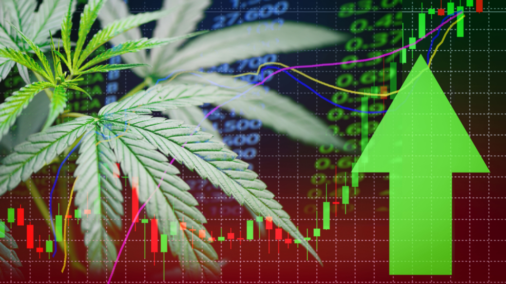 3 Companies to Watch as Nasdaq Warms Up to Cannabis Listings