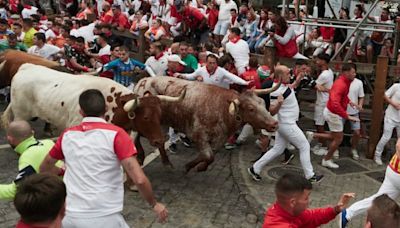 Dozens injured in bull runs at Pamplona's San Fermín festival