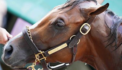 Preakness 2024 live updates: Time, TV, odds, results and more from Triple Crown race