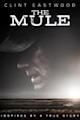 The Mule