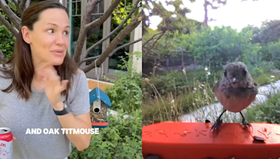 We Found the Bird Feeder That Made Jennifer Garner Absolutely Lose Her Mind