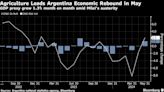 Argentina Economy Posts Best Month Under Milei Despite Cuts