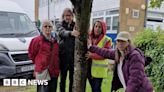 Wadhurst protesters occupy school to save trees from chop