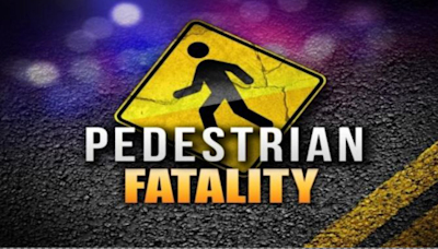 68-year-old man hit by SUV in Georgetown County dies at hospital, troopers say